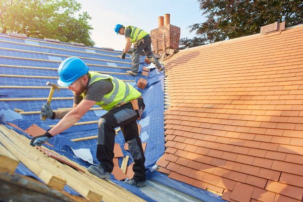 Best Roof Leak Repair  in Ferndale, CA